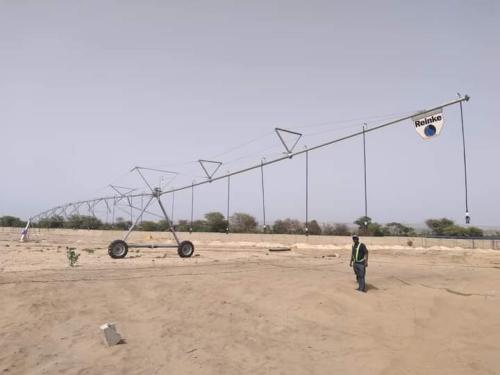 Reinke-Pivots