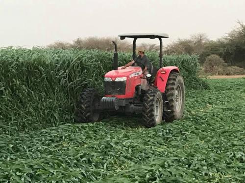 TRACTOR-EQUIPMENT-RENTAL1